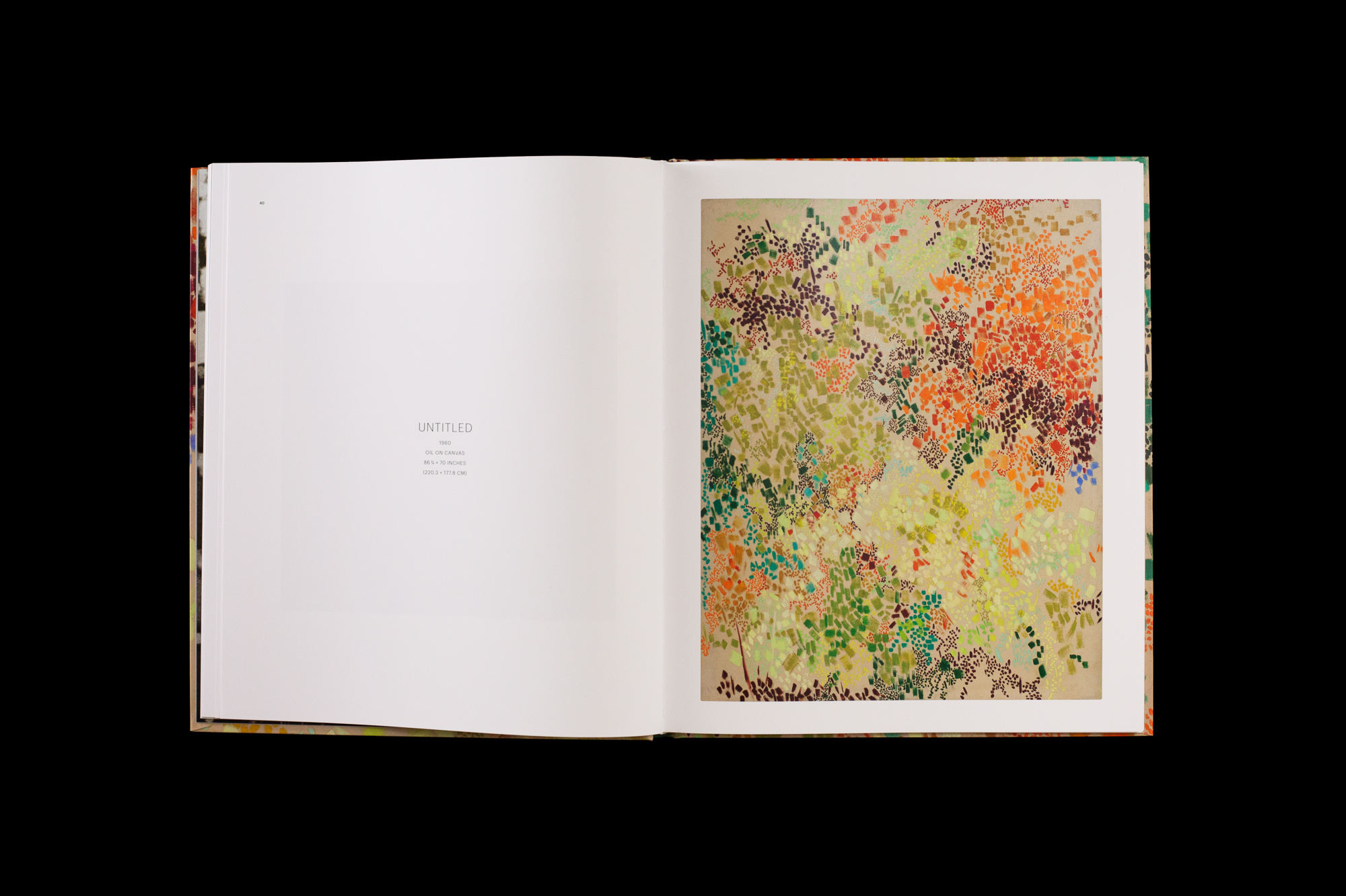 Lynn Drexler: The First Decade - Mnuchin Gallery - Berry Campbell