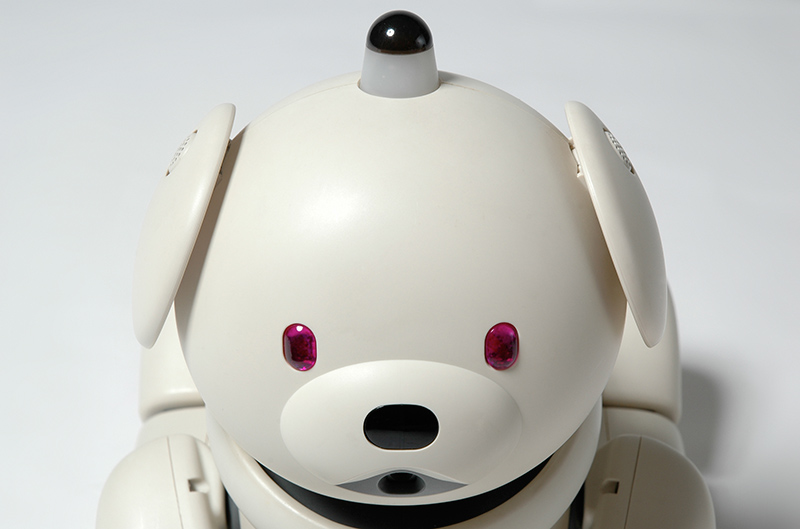 Katsura Moshino : WORKS : AIBO