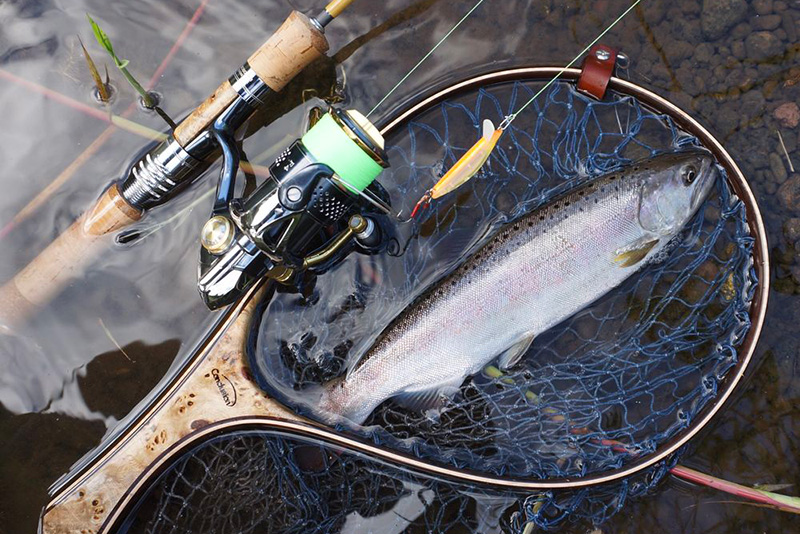 レボリューション/page/12｜ニュース（総合ブログ） ｜Casket カスケット