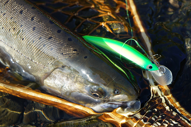 レボリューション/page/12｜ニュース（総合ブログ） ｜Casket カスケット