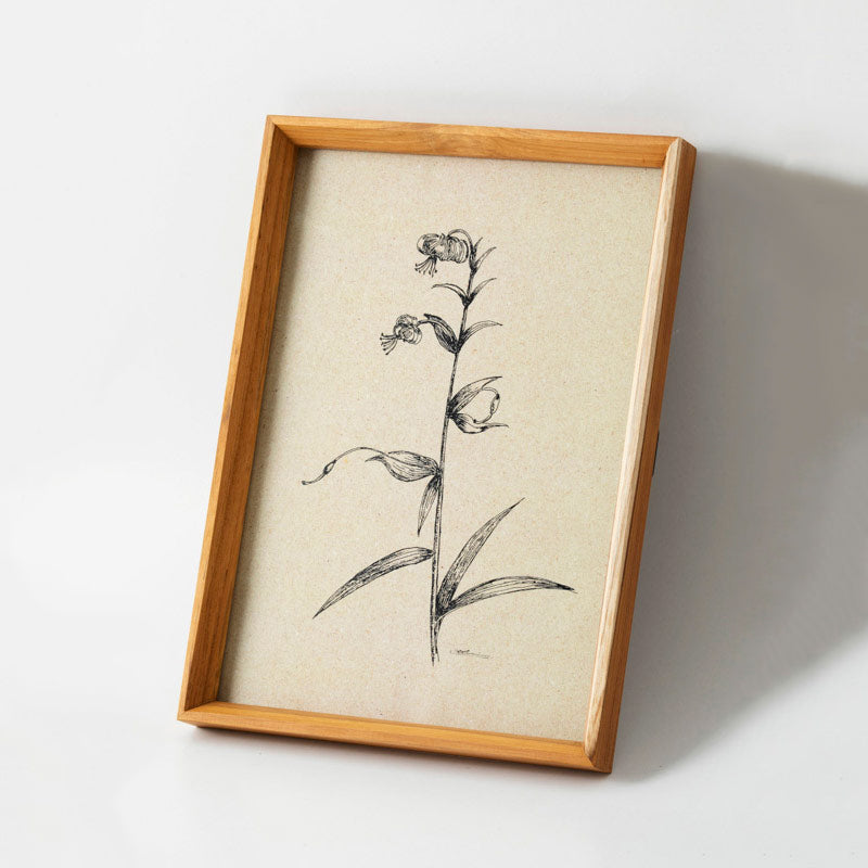 チークフレーム A4 | AXCIS ONLINE