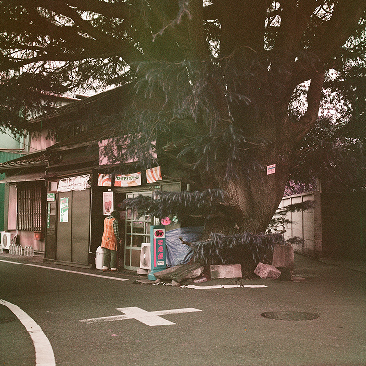 みなさんのWS写真】「続・ノスタルジックが止まらない」〜期限切れ