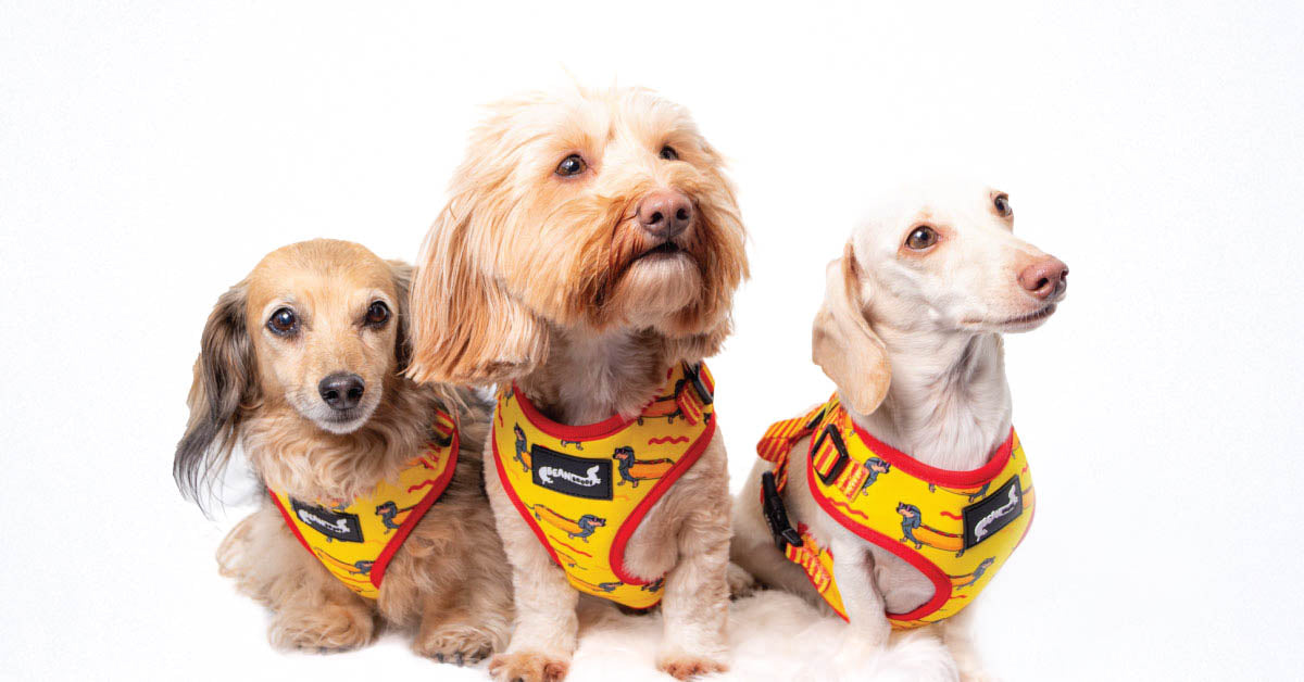 bean goods x Christina Kirkman