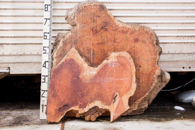 本花梨の瘤を久しぶりに仕入れました | 野原工芸｜作り手の裏話