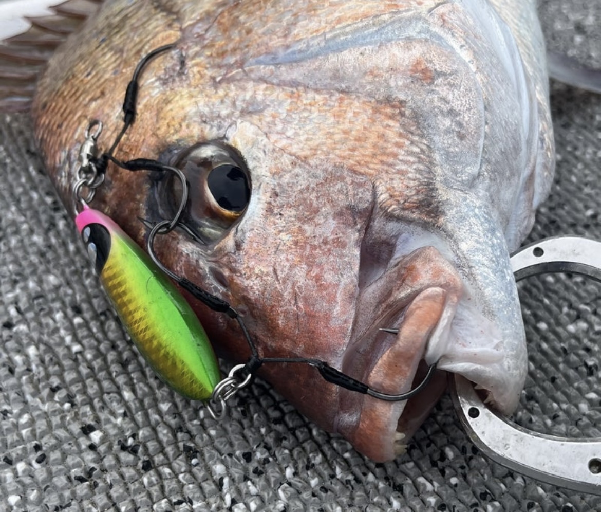 NorthCast青森真鯛ツアーに参加！ - 道東の釣りならブルーマリン道東の