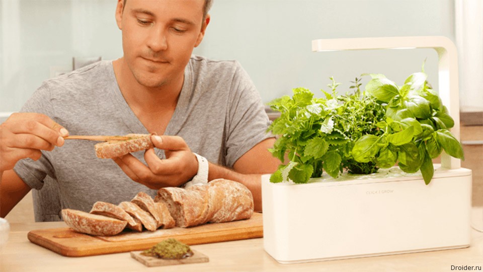 Click & Grow | スマートハーブガーデン - ガジェットの購入なら海外
