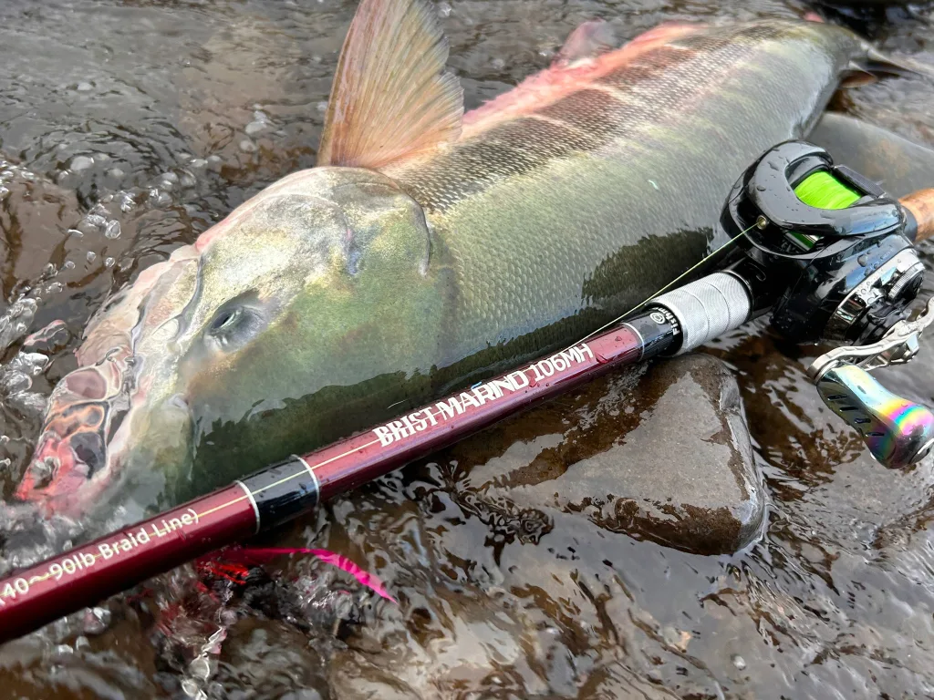 5kgのサケをパワーで制する10.6MH - Fishman（フィッシュマン）