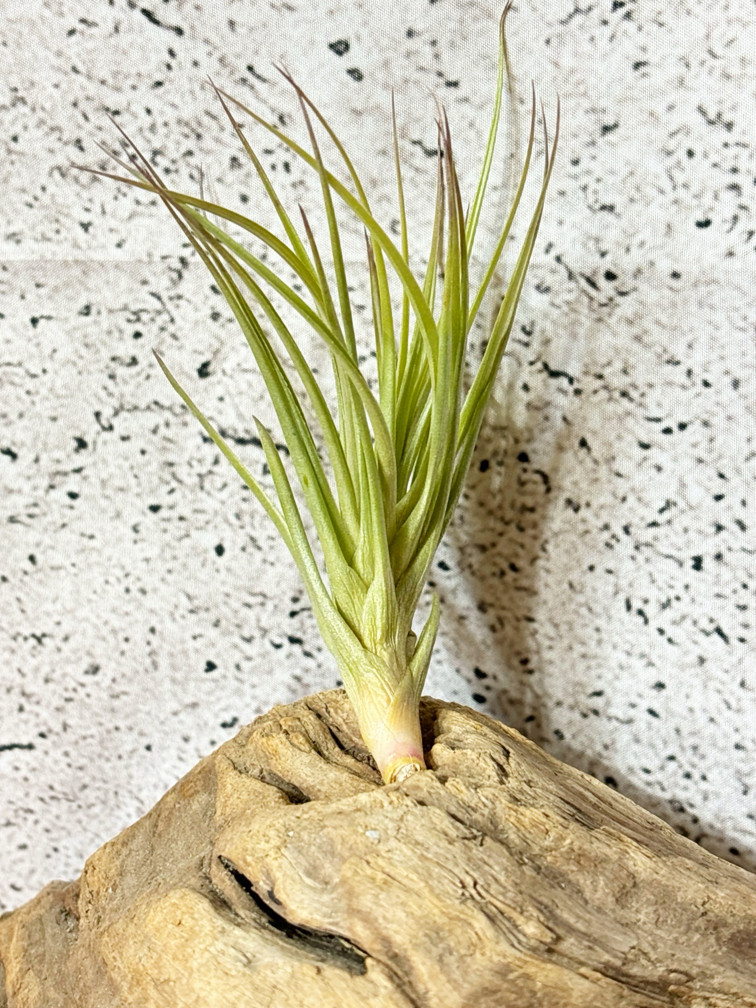 6ee3001f0c81d61fb482b3a005ecfb