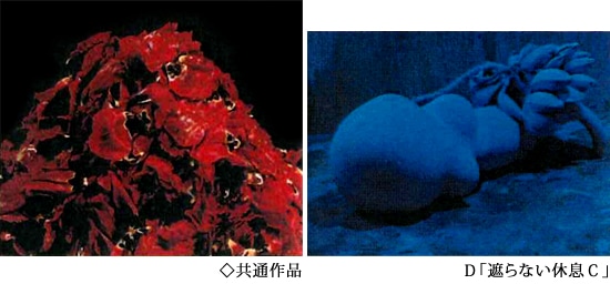 特装本 】中川幸夫作品集 魔の山