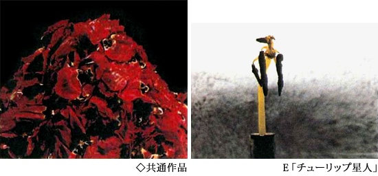 特装本 】中川幸夫作品集 魔の山