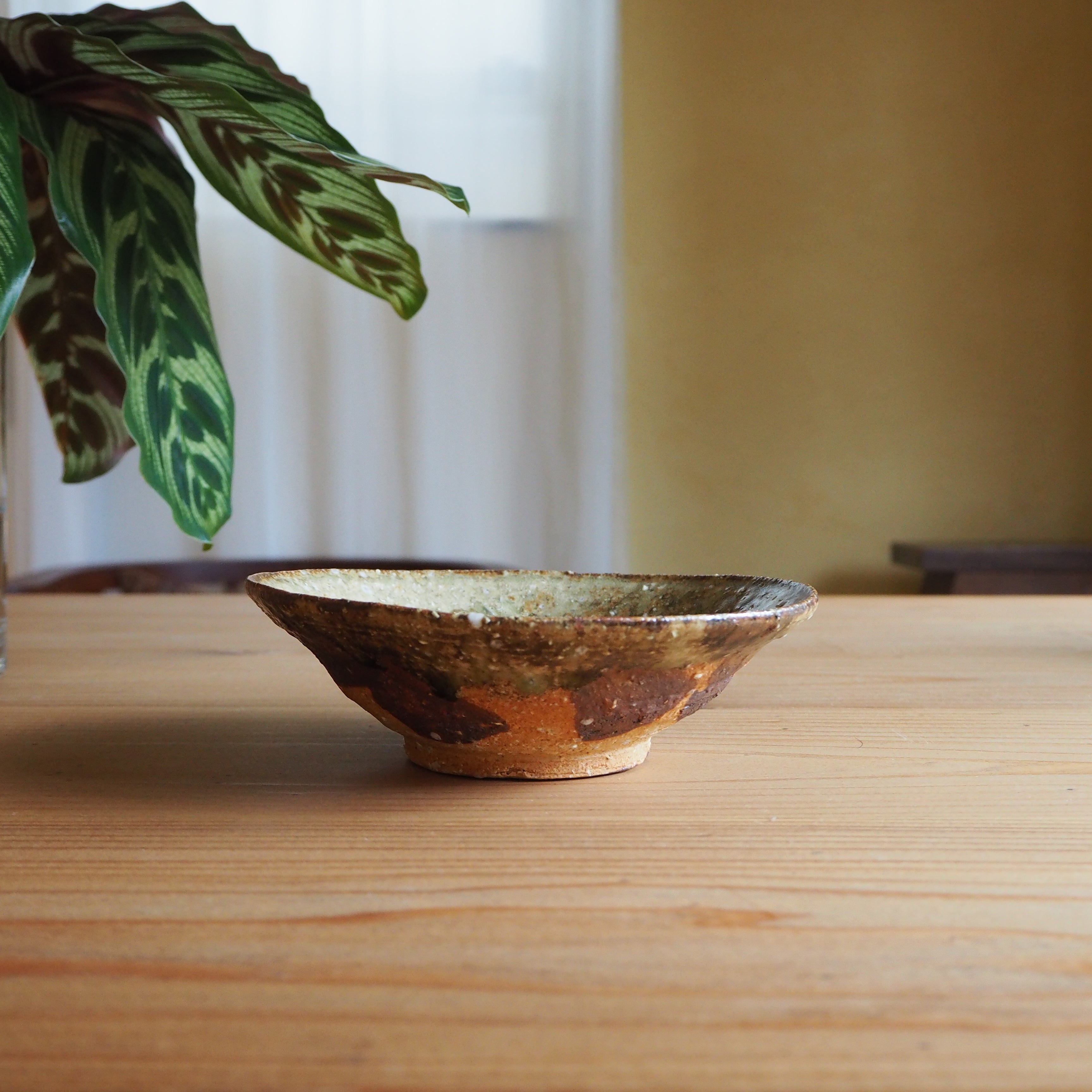 P6230797.jpg?v=1692114555