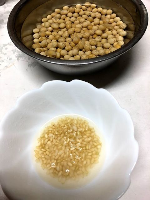 自家製納豆「玄米枯草菌編」 : 酒屋・興味津津