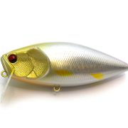 SCRATCH | RAID JAPAN