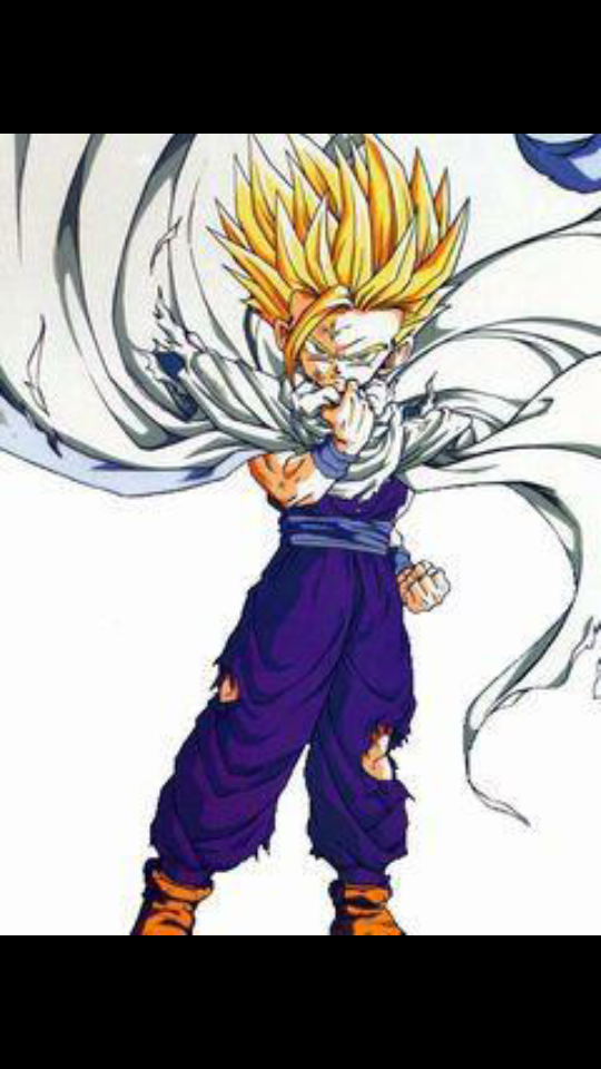 カードダス「四大超サイヤ人」 | りょうの奇妙なブログ