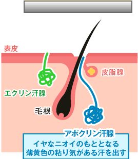 切らないわきが・多汗症治療 | スキンクリニック