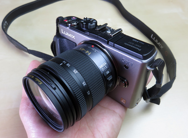 1万円で買える？中古ミラーレスのススメ！【Panasonic DMC-GX1】中古