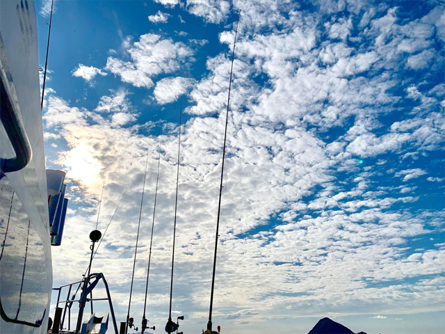 リアクション一つテンヤ最高峰ロッド「VRK」シリーズ：ラインナップ