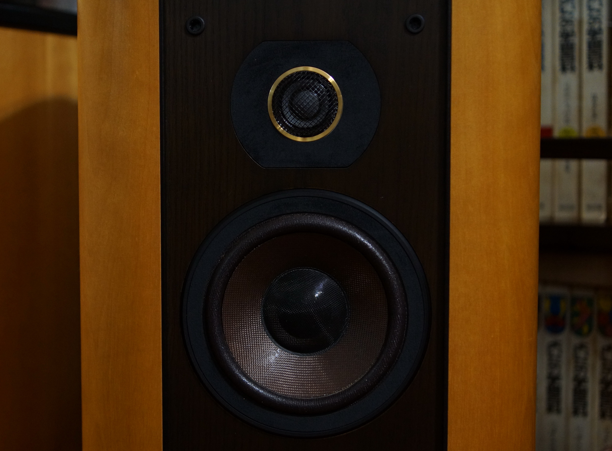 DIATONE DS-203 三菱電機 2ウェイ・トールボーイ。復活前のﾀﾞｲﾔﾄｰﾝ最後