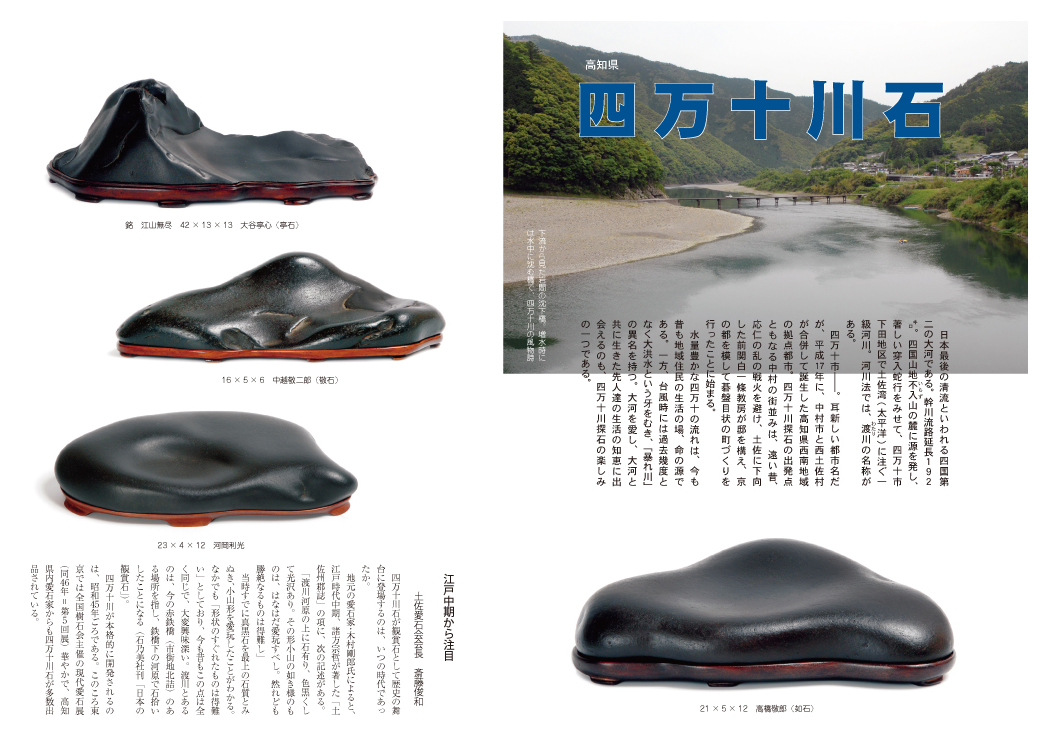 水石の雑誌 月刊愛石 ／ 現代日本名石図鑑