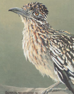 V-29 Roadrunner – Charles Beckendorf Gallery