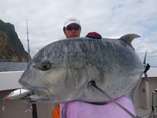 カーペンター ブルーフィッシュ160