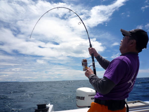 カーペンター BLC84／18 ブルーチェイサー