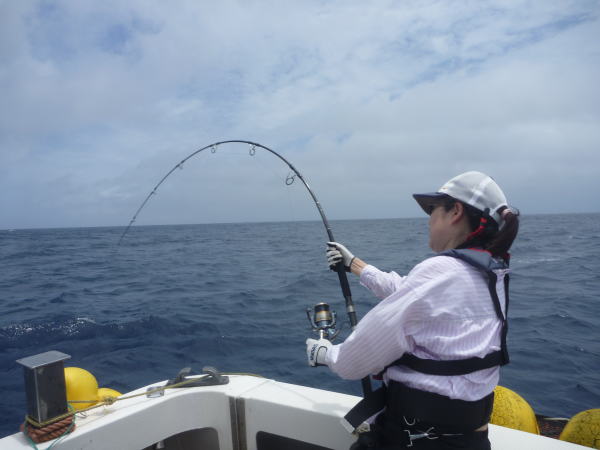 カーペンター BLC84/22 ブルーチェイサー