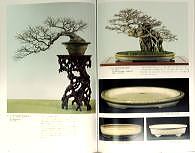 汗牛書店＞美術盆器名品大成