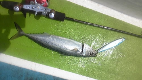 from HOTS｜SLOW STYLE SSS-63ML St.・63MH St. 出荷開始｜HOT'S