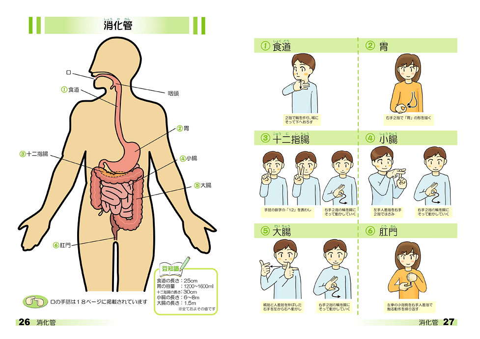 医療の手話シリーズ 別冊 手話でわかりやすい体と病気 - 全日本ろうあ