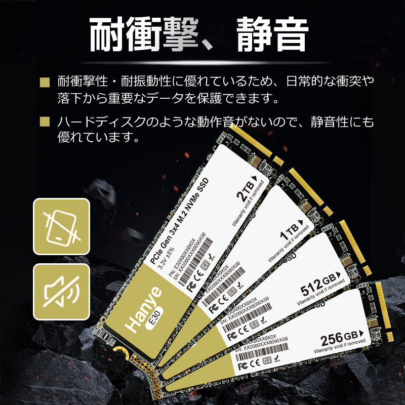 JNH | 嘉年華株式会社 | SSD