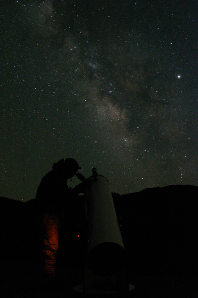 超低価格WHITEY DOBシリーズ商品詳細ページ