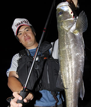 APIA SPARTAS '08風神号 ナイトホーク91ML