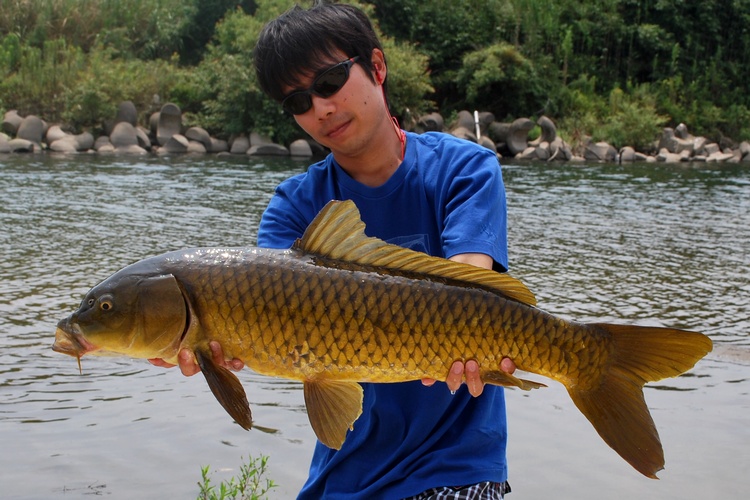 鯉釣り釣行記No.85「夏の川鯉」｜Light Blue