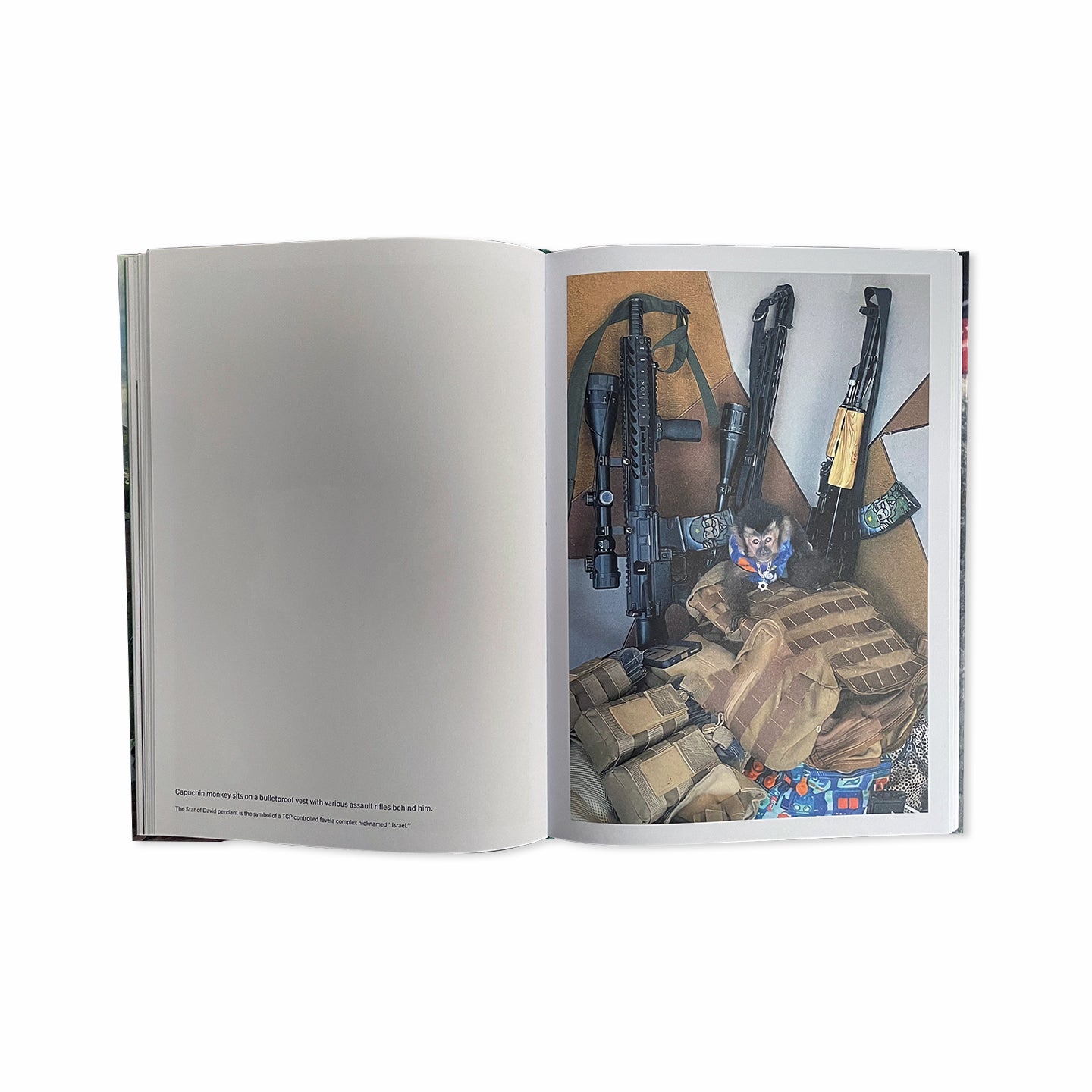 FAVELA NARCO PETS – 550BC