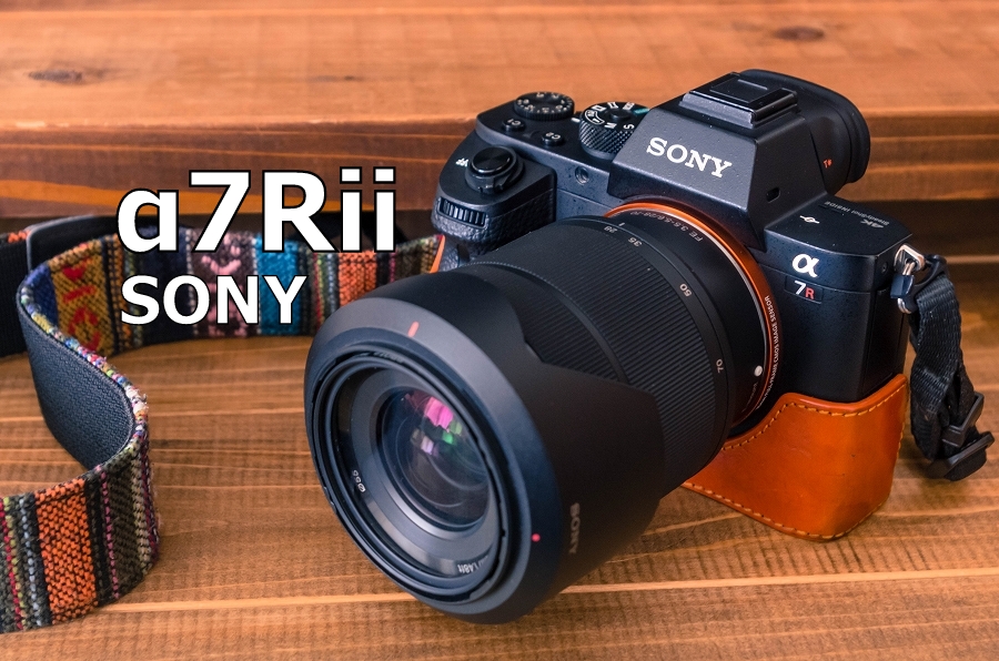 α7Riiレビュー】フルサイズミラーレス一眼にして良かったと思うこと