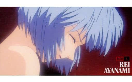 Collectible Cards/Carddass]CARDDASS - Neon Genesis Evangelion