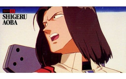 Collectible Cards/Carddass]CARDDASS - Neon Genesis Evangelion