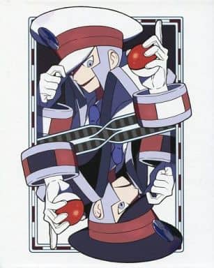 Card Album](USED) ポケモンカードゲーム オフィシャルカードファイル