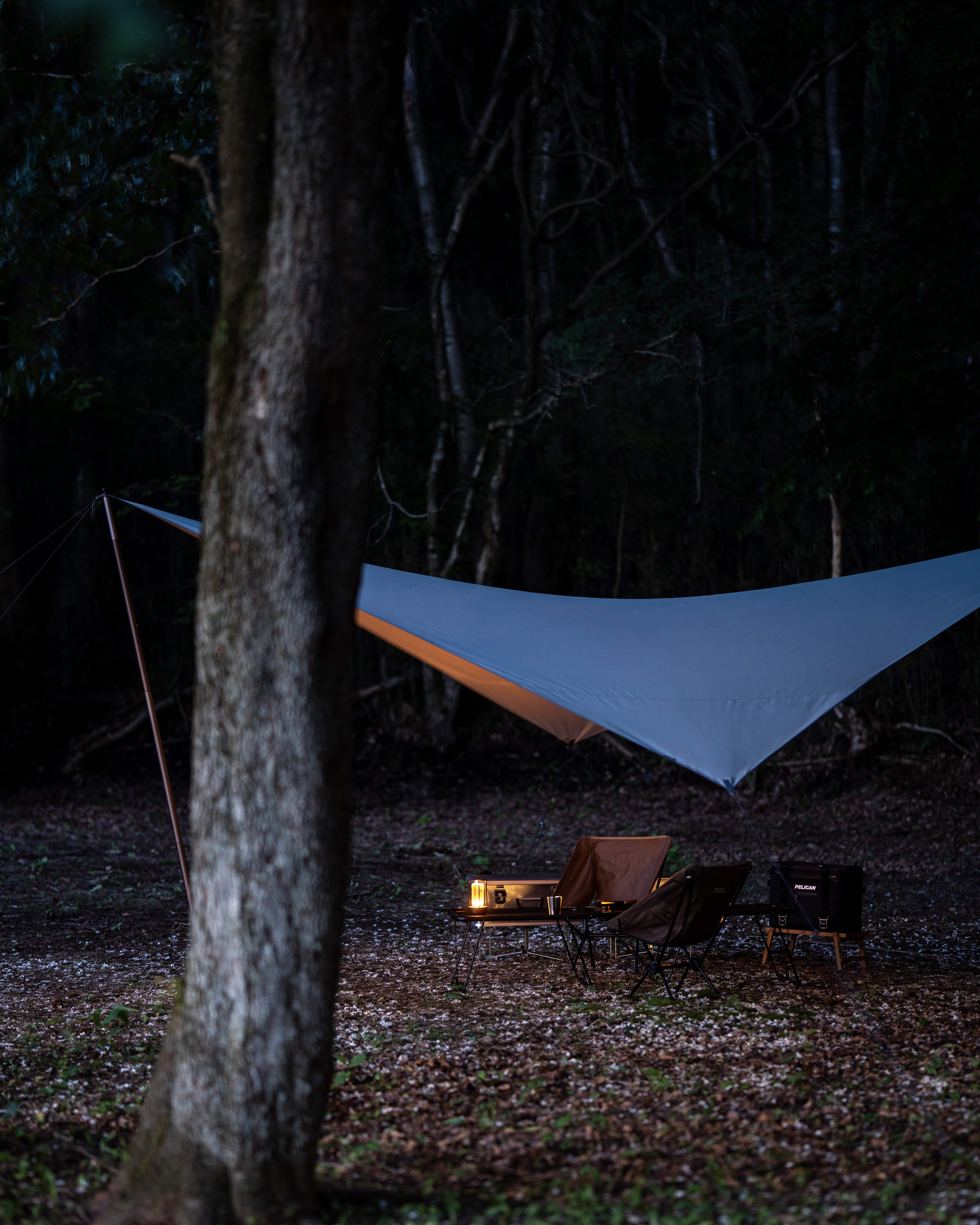 ORIGINAL PRODUCTS｜TARP to TARP