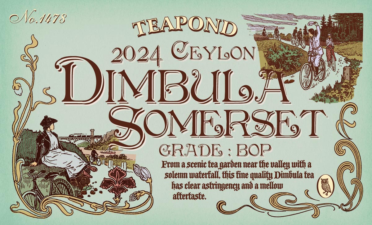 ディンブラ 2024年 サマセット茶園 BOP｜紅茶専門店TEAPOND ティーポンド