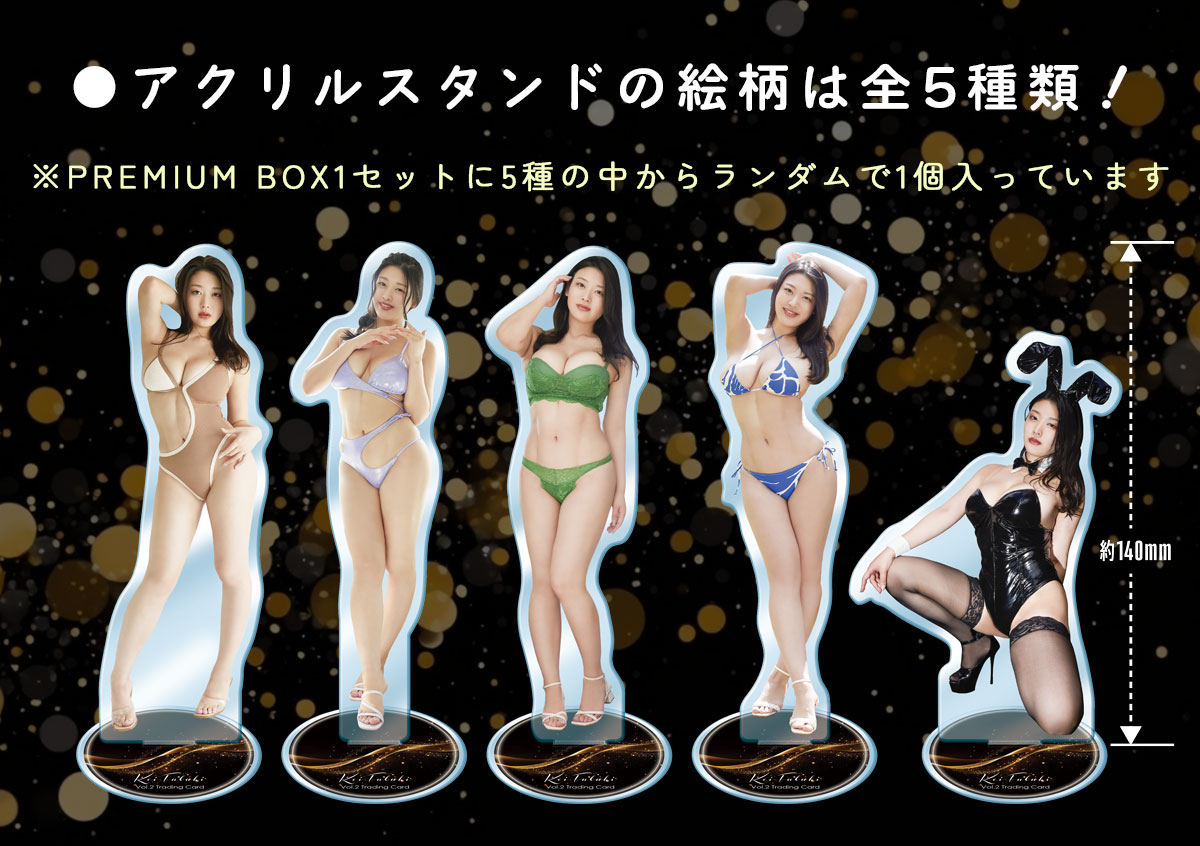 TIC STORE / 風吹ケイVol.2 プレミアムボックス 1セット【送料無料】