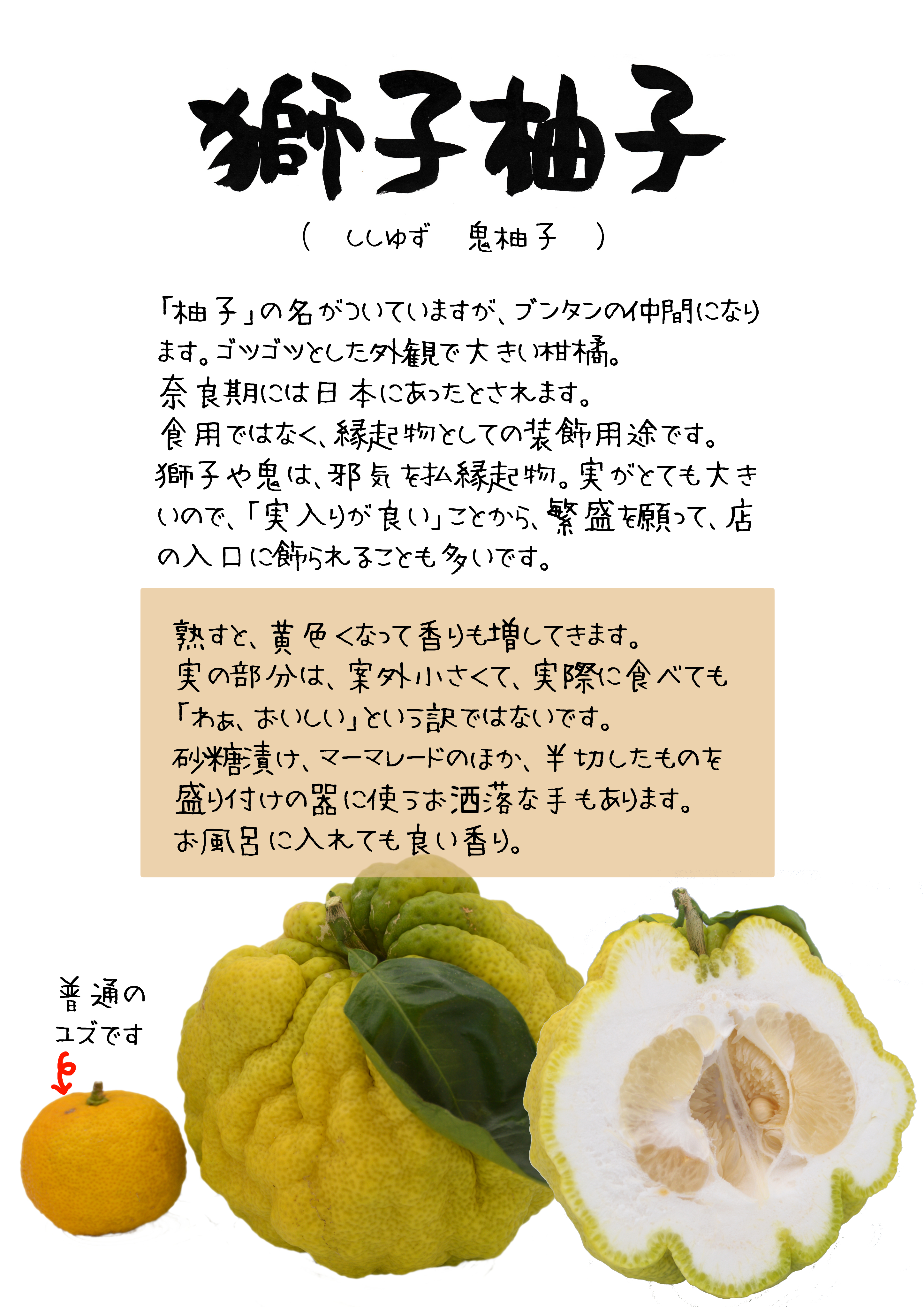 素材ダウンロード｜心にチクっとささるワードで作る「ちくわPOP