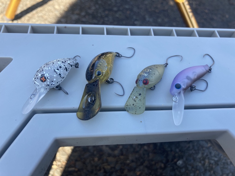 エリアトラウトをミノーイングで攻略！カラーとアクション意外にもあっ