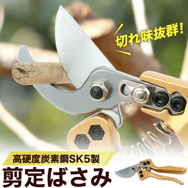 楽天市場】鋼 鋏の通販