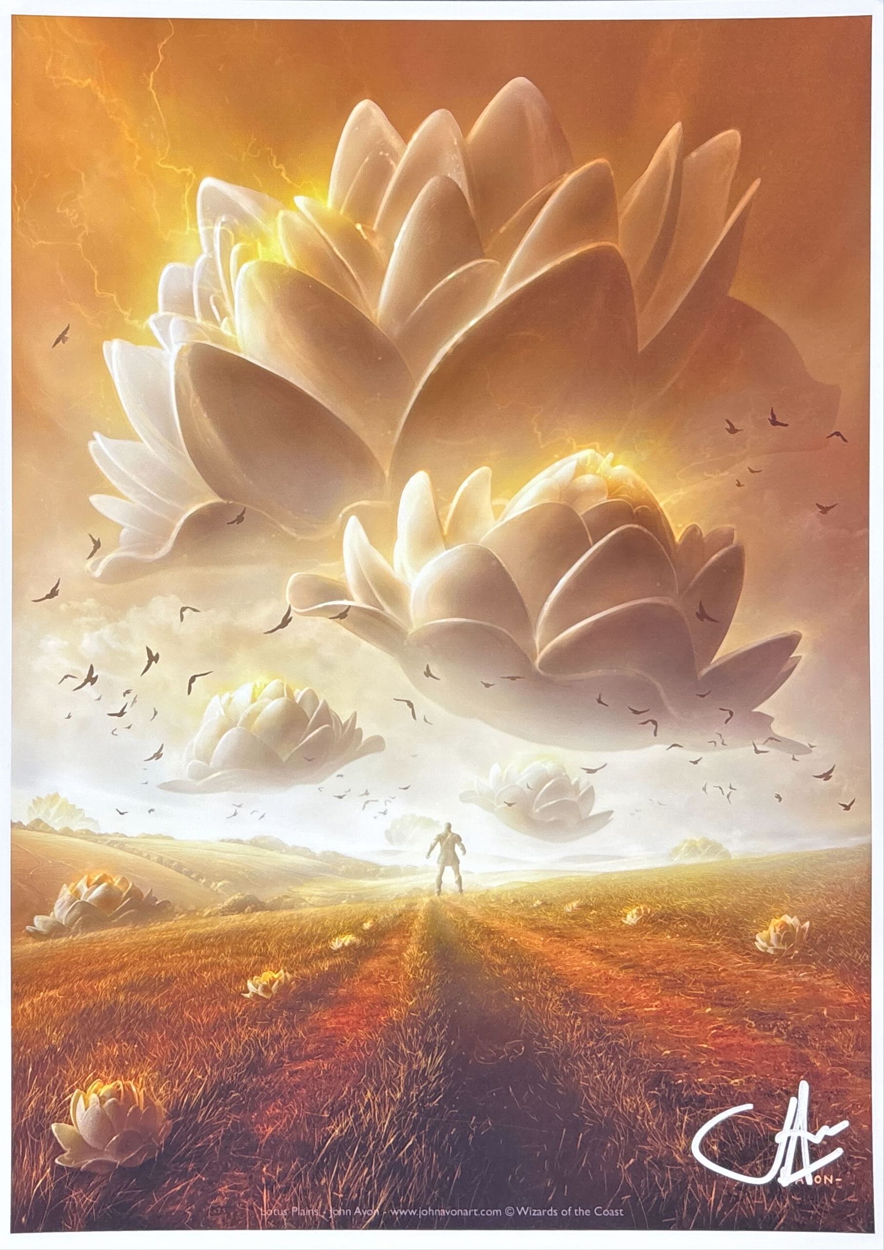 MTG専門店|東京MTG】MTGカード・アート通販サイト