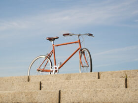 Tokyobike Paddle アーカイブ - トーキョーバイク