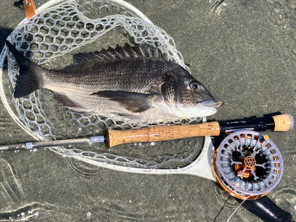 シングルハンド8番タックル | Tokyo Fly Fishing & Country Club