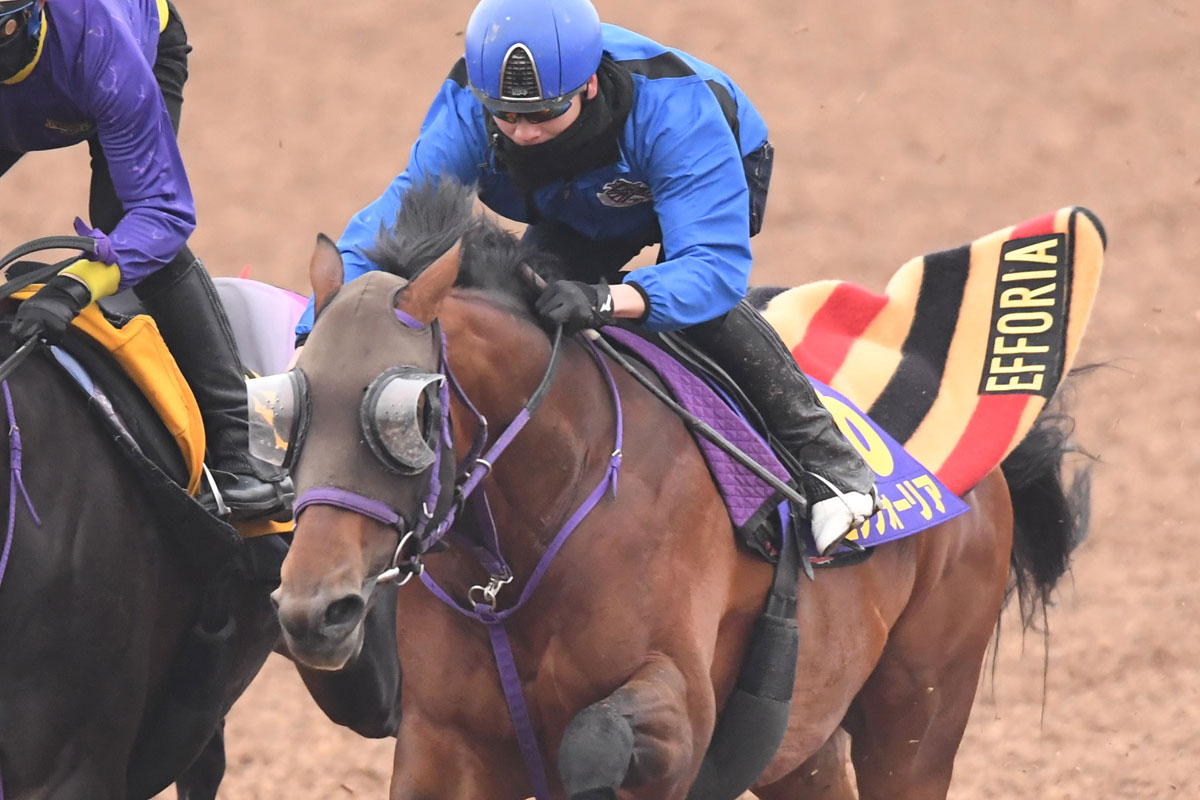 大阪杯追い切り】エフフォーリア ラスト11・2秒で併入 横山武