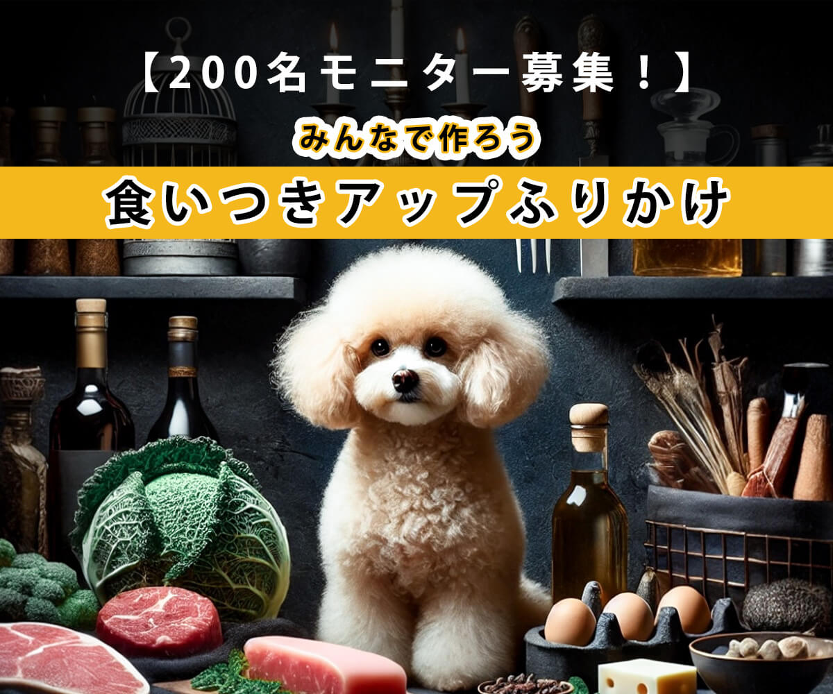 抽選200名】あなたの声で決まる！もうごはんを残さない“プードル専用